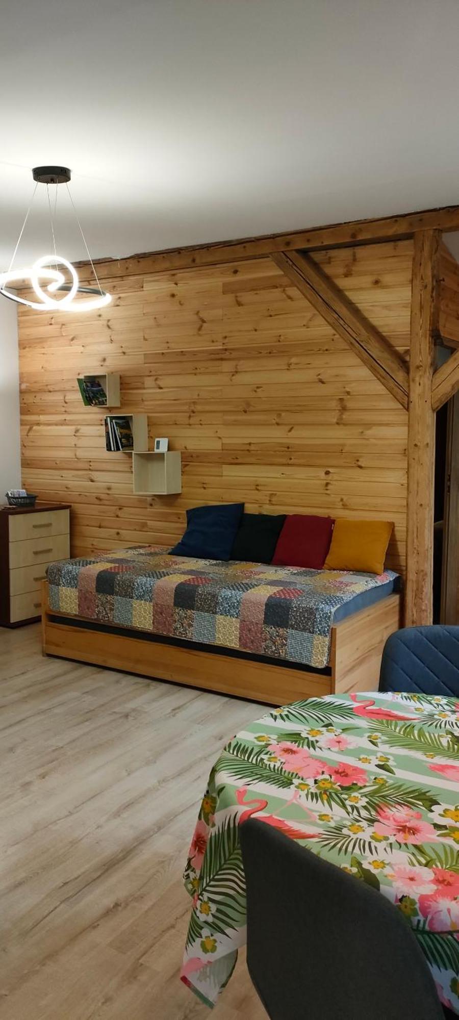 Aparament Brzozowisko Appartement Zelazno  Buitenkant foto