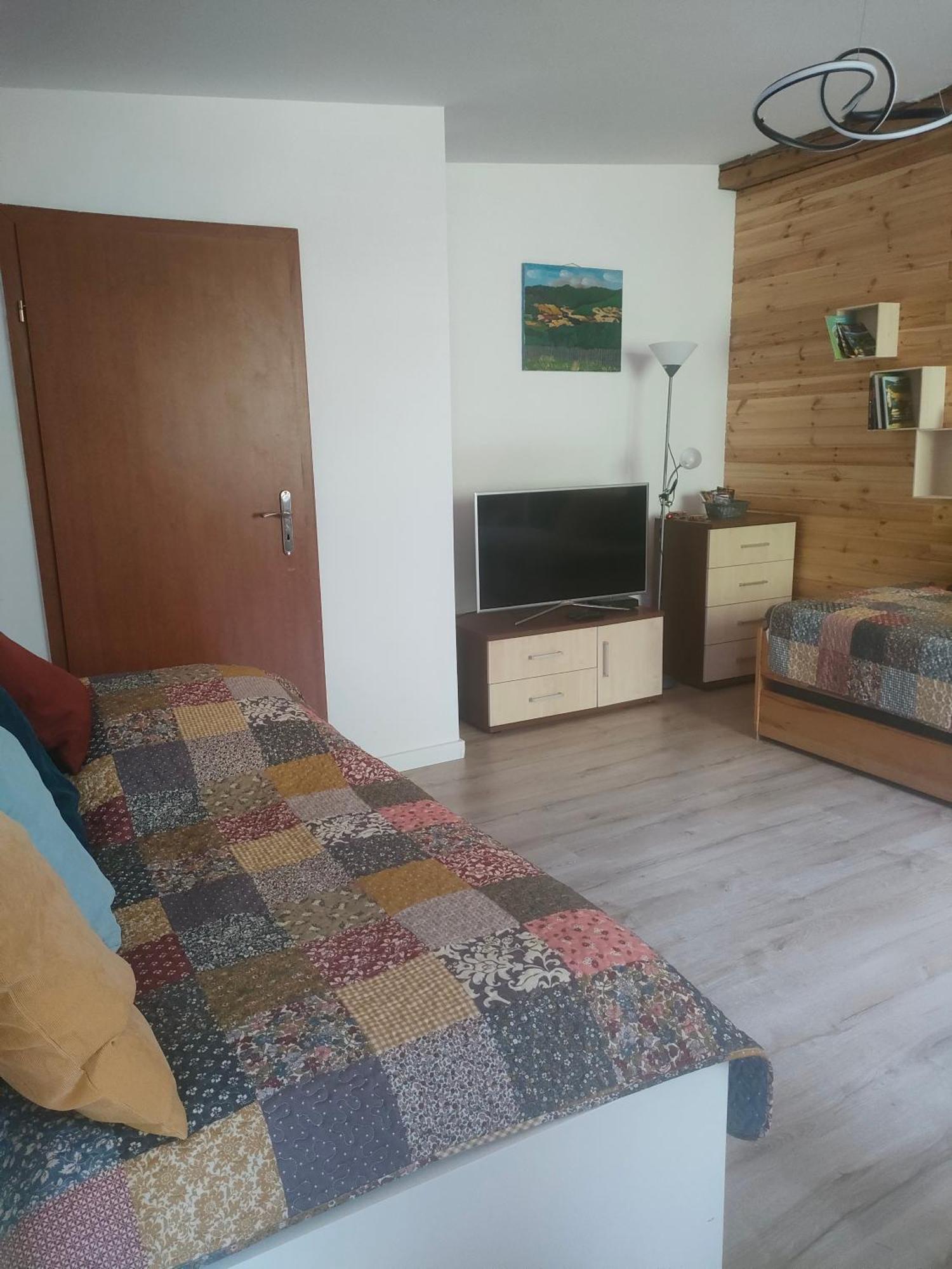 Aparament Brzozowisko Appartement Zelazno  Buitenkant foto