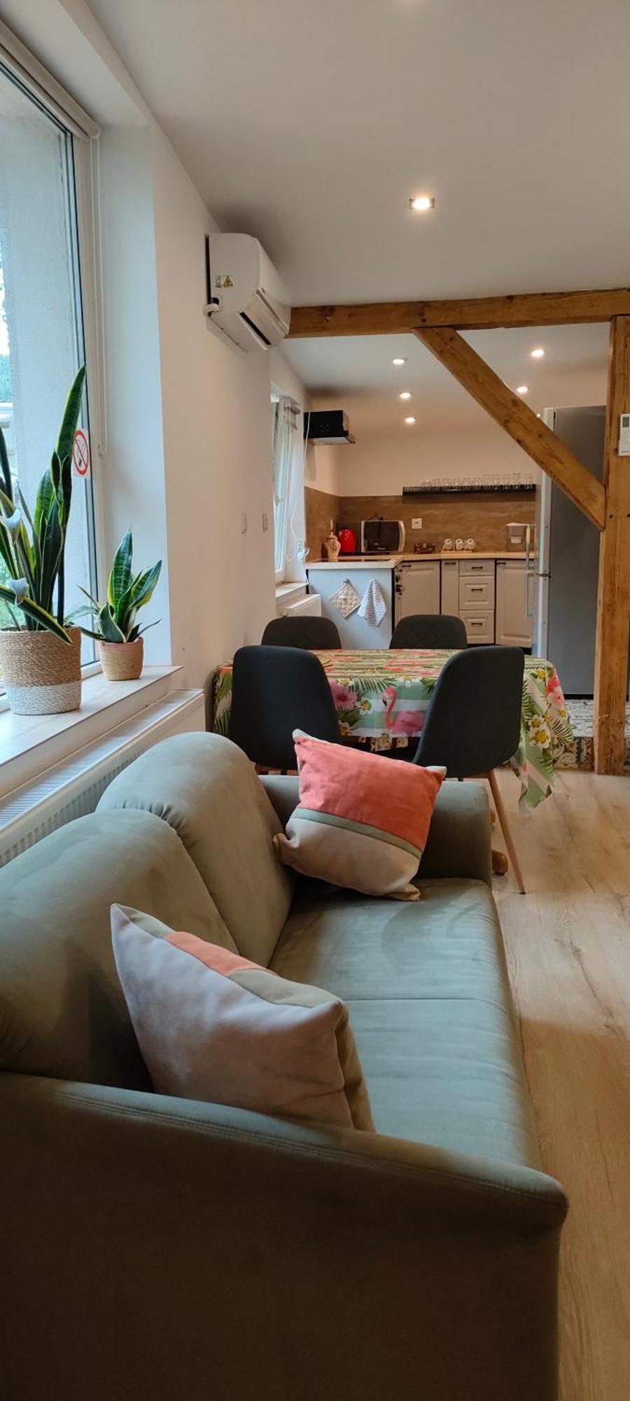 Aparament Brzozowisko Appartement Zelazno  Buitenkant foto