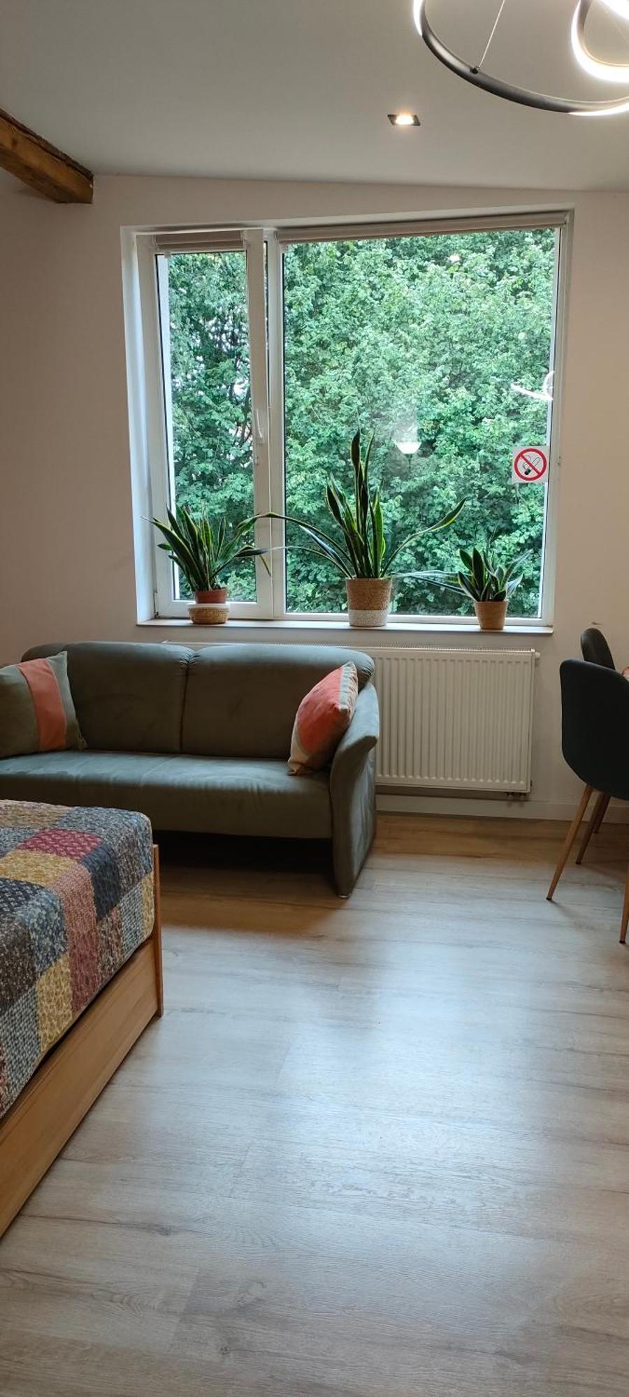 Aparament Brzozowisko Appartement Zelazno  Buitenkant foto